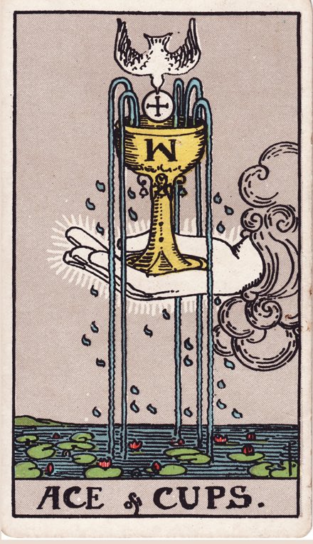 Ace Cốc (Ace of Cups)